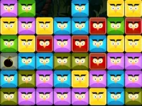 image bg Angry Owls
